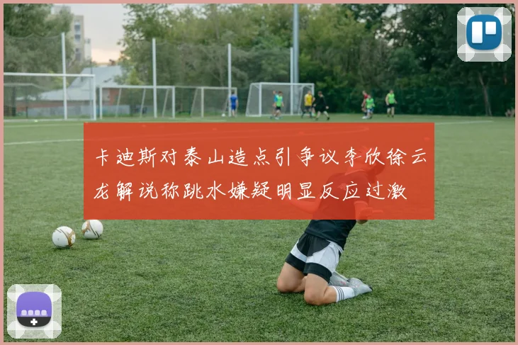 卡迪斯对泰山造点引争议李欣徐云龙解说称跳水嫌疑明显反应过激